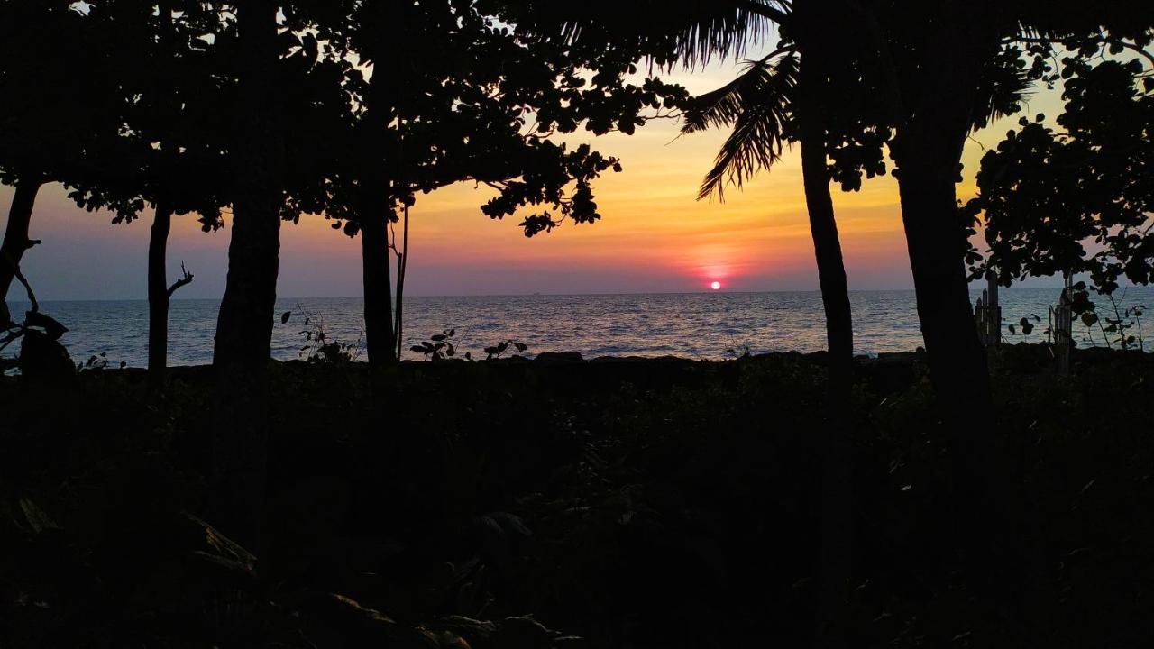 Sea Hut Homestay Kochi Exterior photo
